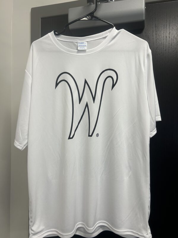 Home Page Brian Green Baseball Camps home-page-brian-green-baseball-camps